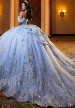 Vizcaya Quinceanera 4080013