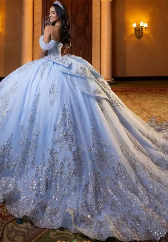 Vizcaya Quinceanera 4080013
