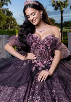 Vizcaya Quinceanera 4080005
