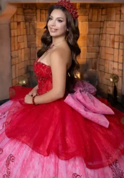 Vizcaya Quinceanera 4080005
