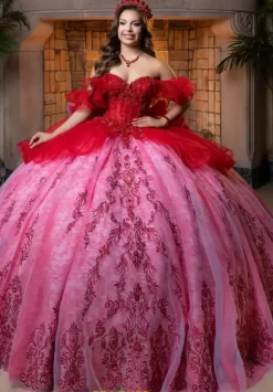 Vizcaya Quinceanera 4080005