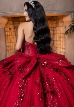 Vizcaya Quinceanera 4080025