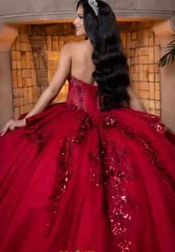 Vizcaya Quinceanera 4080025