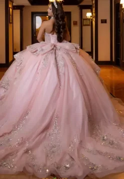 Vizcaya Quinceanera 4080025
