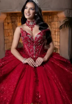 Vizcaya Quinceanera 4080025