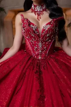 Vizcaya Quinceanera 4080025