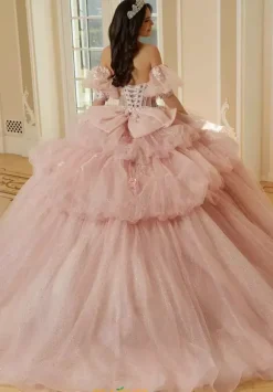Vizcaya Quinceanera 34113