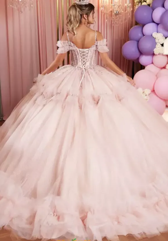 Vizcaya Quinceanera 89508