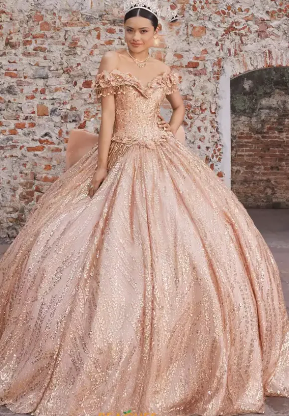 Vizcaya Quinceanera 89547