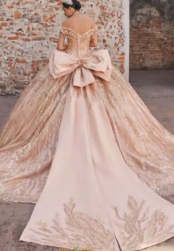 Vizcaya Quinceanera 89547