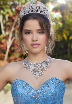 Vizcaya Quinceanera 89199