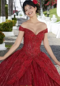 Vizcaya Quinceanera 89361