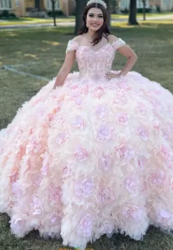 Vizcaya Quinceanera 34081