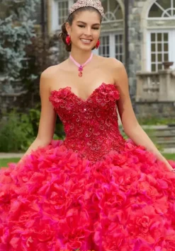 Vizcaya Quinceanera 34081