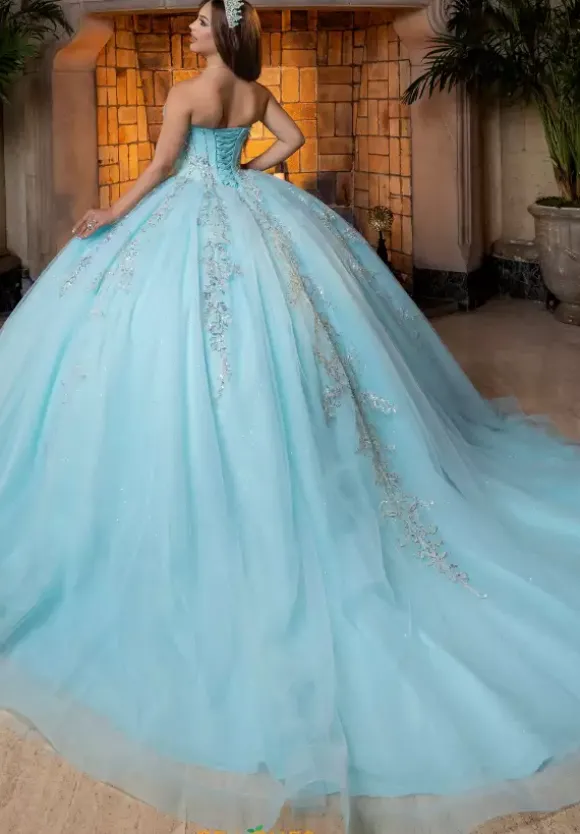 Vizcaya Quinceanera 4080026