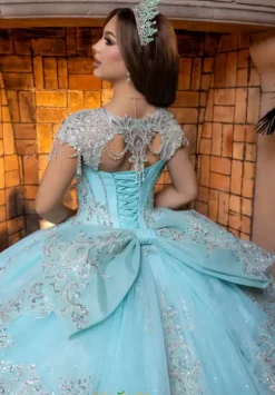 Vizcaya Quinceanera 4080026