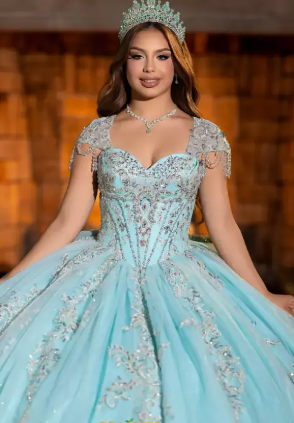 Vizcaya Quinceanera 4080026