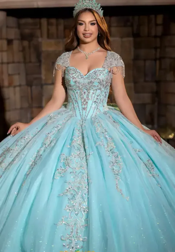 Vizcaya Quinceanera 4080026