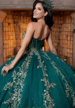 Vizcaya Quinceanera 4080026