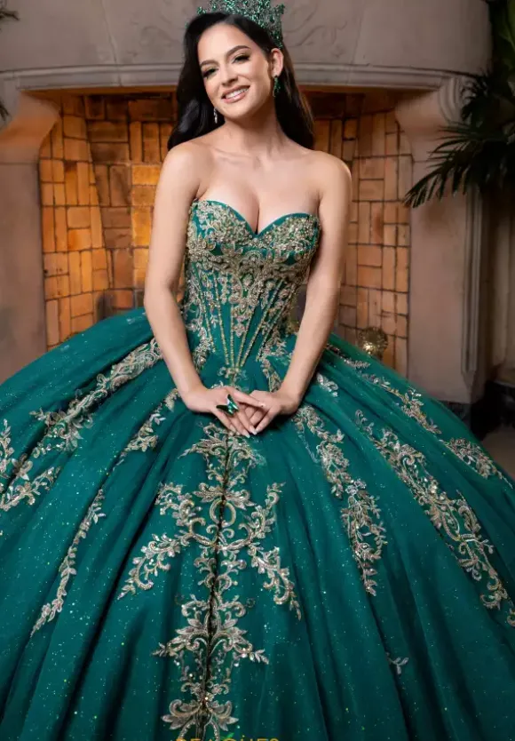 Vizcaya Quinceanera 4080026