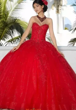 Vizcaya Quinceanera 89359