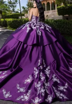 Vizcaya Quinceanera 4080016