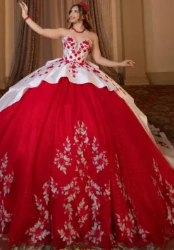 Vizcaya Quinceanera 4080016