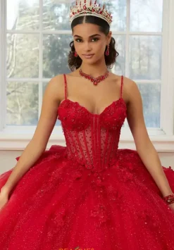 Vizcaya Quinceanera 60206