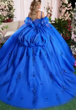Vizcaya Quinceanera 89504
