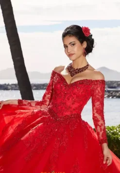 Vizcaya Quinceanera 89360