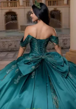 Vizcaya Quinceanera 4080011