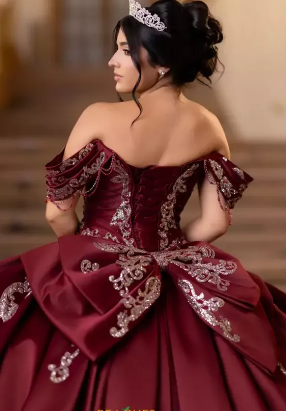 Vizcaya Quinceanera 4080011