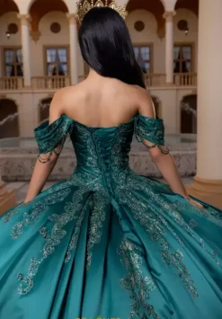 Vizcaya Quinceanera 4080011