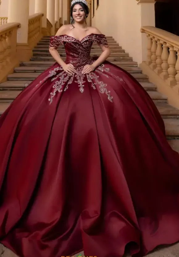 Vizcaya Quinceanera 4080011