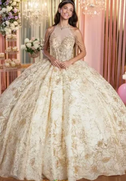 Vizcaya Quinceanera 89514