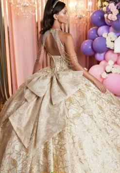 Vizcaya Quinceanera 89514