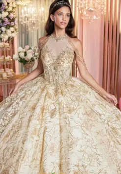 Vizcaya Quinceanera 89514