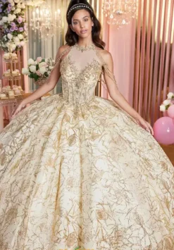 Vizcaya Quinceanera 89514
