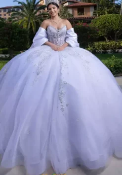 Vizcaya Quinceanera 4080008