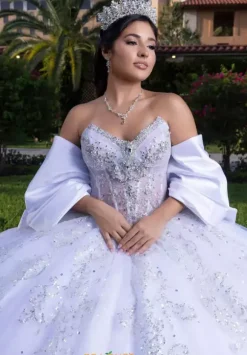 Vizcaya Quinceanera 4080008