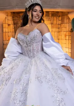 Vizcaya Quinceanera 4080008