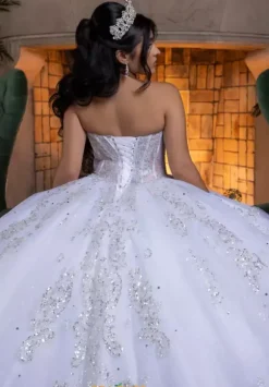 Vizcaya Quinceanera 4080008