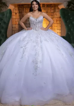 Vizcaya Quinceanera 4080008