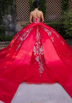 Vizcaya Quinceanera 4080008