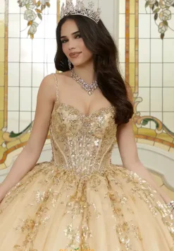 Vizcaya Quinceanera 89472