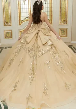 Vizcaya Quinceanera 89472