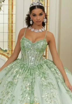 Vizcaya Quinceanera 89472
