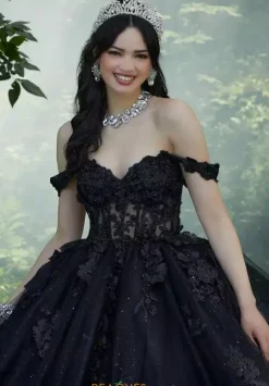 Vizcaya Quinceanera 60197