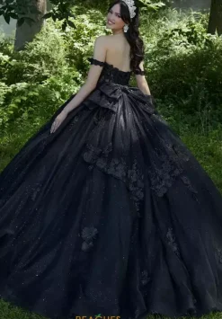 Vizcaya Quinceanera 60197