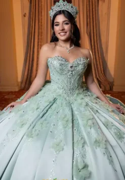 Vizcaya Quinceanera 4080006